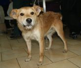 25.10.2017 DMOSIN GMINA 616093900383519 ♂