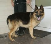 18.10.2017 WARTA GMINA 616093900383580 ♂